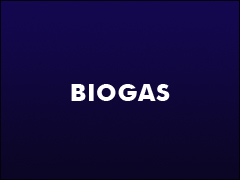 Biogas